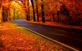 Until the End of the Road